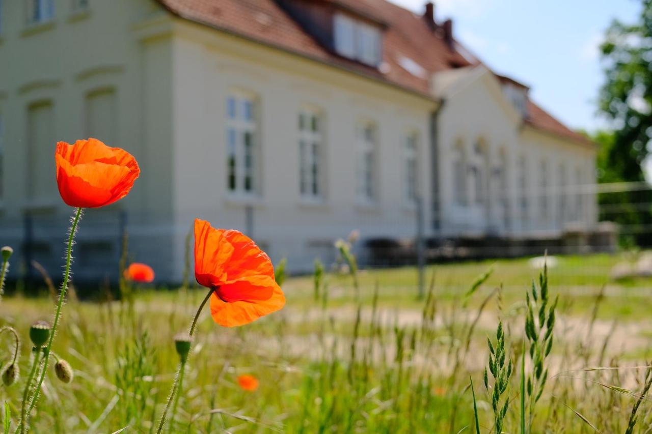 Gutshaus Fewo Luebeck Dassow ภายนอก รูปภาพ